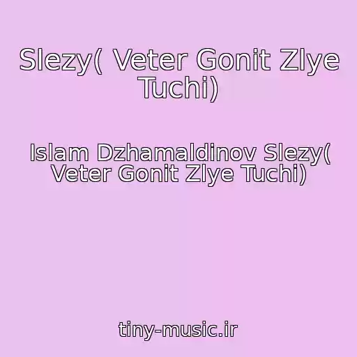 کاور آهنگ Slezy( Veter Gonit Zlye Tuchi) از Islam Dzhamaldinov Slezy( Veter Gonit Zlye Tuchi)