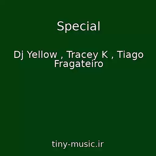 کاور آهنگ Special از Dj Yellow , Tracey K , Tiago Fragateiro