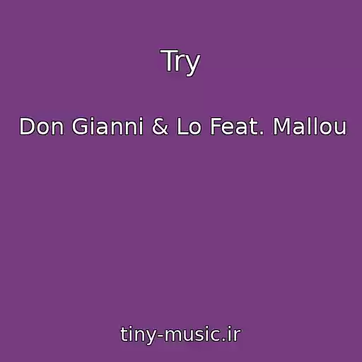 کاور آهنگ Try از Don Gianni & Lo Feat. Mallou