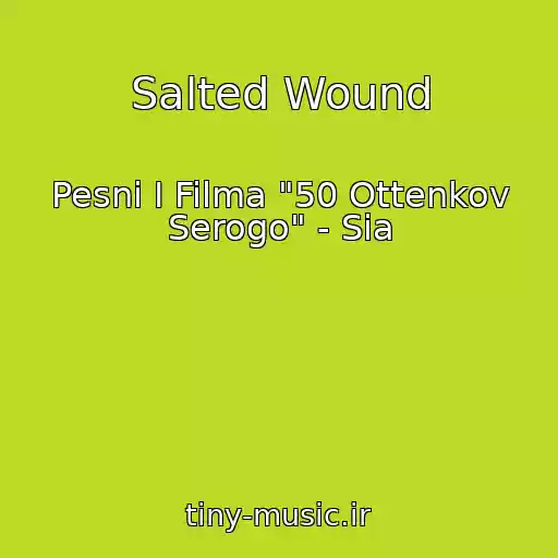 کاور آهنگ Salted Wound از Pesni I Filma "50 Ottenkov Serogo" - Sia