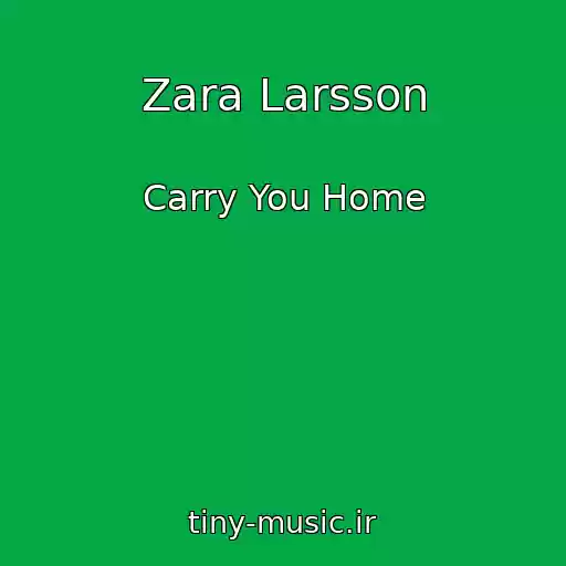 کاور آهنگ Zara Larsson از Carry You Home