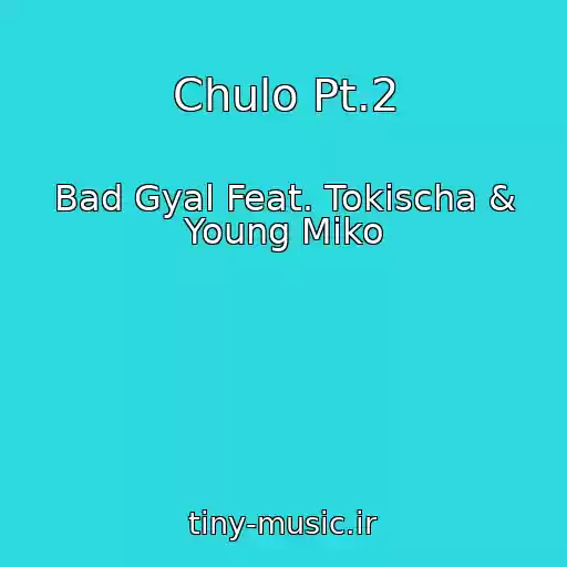 کاور آهنگ Chulo Pt.2 از Bad Gyal Feat. Tokischa & Young Miko