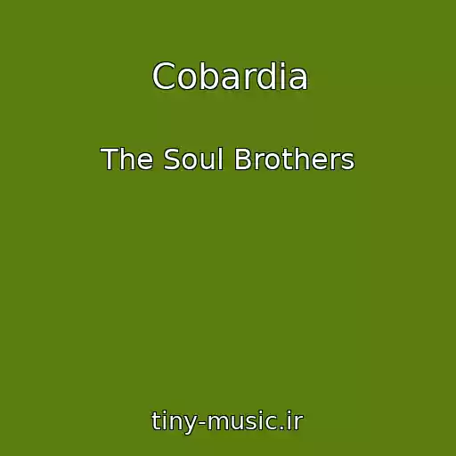 کاور آهنگ Cobardia از The Soul Brothers