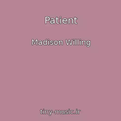 کاور آهنگ Patient از Madison Willing