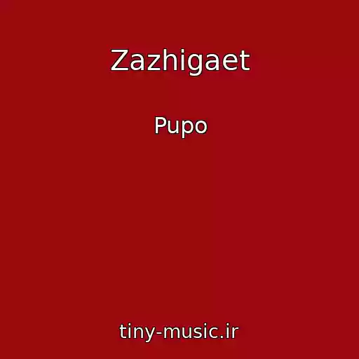کاور آهنگ Zazhigaet از Pupo