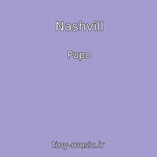 کاور آهنگ Nashvill از Pupo