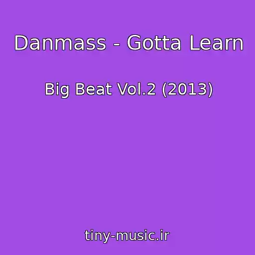 کاور آهنگ Danmass - Gotta Learn از Big Beat Vol.2 (2013)