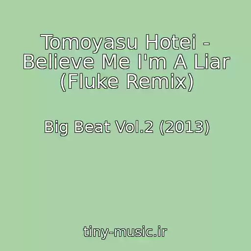 کاور آهنگ Tomoyasu Hotei - Believe Me I'm A Liar (Fluke Remix) از Big Beat Vol.2 (2013)