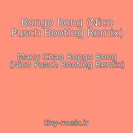 کاور آهنگ Bongo Bong (Nico Pusch Bootleg Remix) از Manu Chao Bongo Bong (Nico Pusch Bootleg Remix)