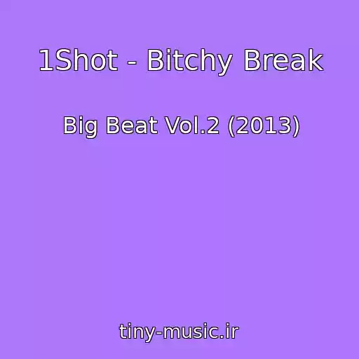 کاور آهنگ 1Shot - Bitchy Break از Big Beat Vol.2 (2013)