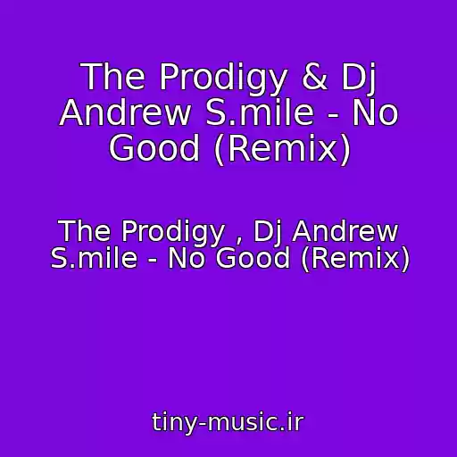 کاور آهنگ The Prodigy & Dj Andrew S.mile - No Good (Remix) از The Prodigy , Dj Andrew S.mile - No Good (Remix)