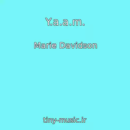 کاور آهنگ Y.a.a.m. از Marie Davidson