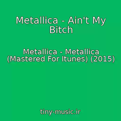 کاور آهنگ Metallica - Ain't My Bitch از Metallica - Metallica (Mastered For Itunes) (2015)