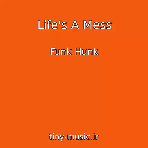 کاور آهنگ Life's A Mess از Funk Hunk
