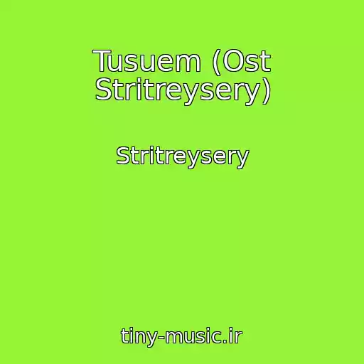 کاور آهنگ Tusuem (Ost Stritreysery) از Stritreysery