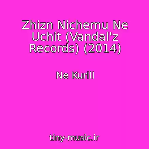 کاور آهنگ Zhizn Nichemu Ne Uchit (Vandal'z Records) (2014) از Ne Kurili