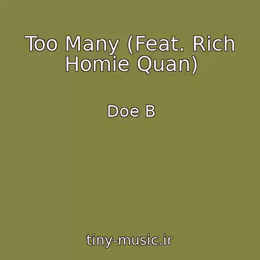 کاور آهنگ Too Many (Feat. Rich Homie Quan) از Doe B