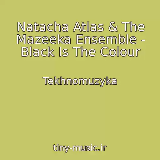 کاور آهنگ Natacha Atlas & The Mazeeka Ensemble - Black Is The Colour از Tekhnomuzyka