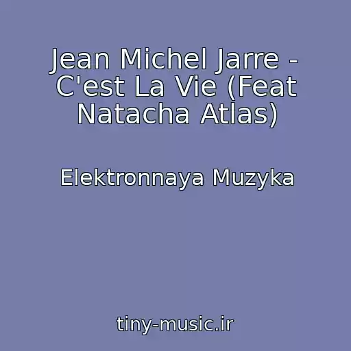 کاور آهنگ Jean Michel Jarre - C'est La Vie (Feat Natacha Atlas) از Elektronnaya Muzyka