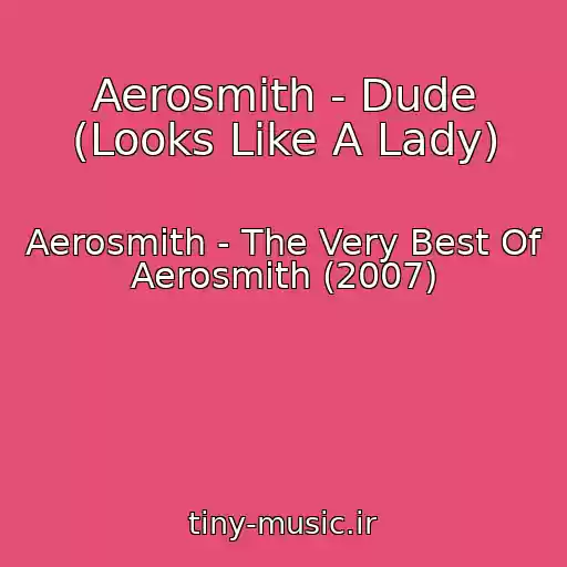 کاور آهنگ Aerosmith - Dude (Looks Like A Lady) از Aerosmith - The Very Best Of Aerosmith (2007)