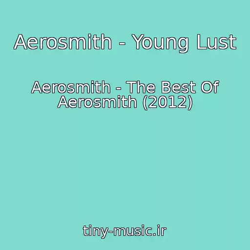 کاور آهنگ Aerosmith - Young Lust از Aerosmith - The Best Of Aerosmith (2012)