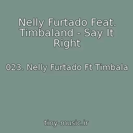کاور آهنگ Nelly Furtado Feat. Timbaland - Say It Right از 023. Nelly Furtado Ft Timbala