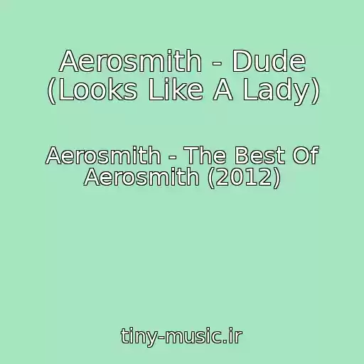 کاور آهنگ Aerosmith - Dude (Looks Like A Lady) از Aerosmith - The Best Of Aerosmith (2012)