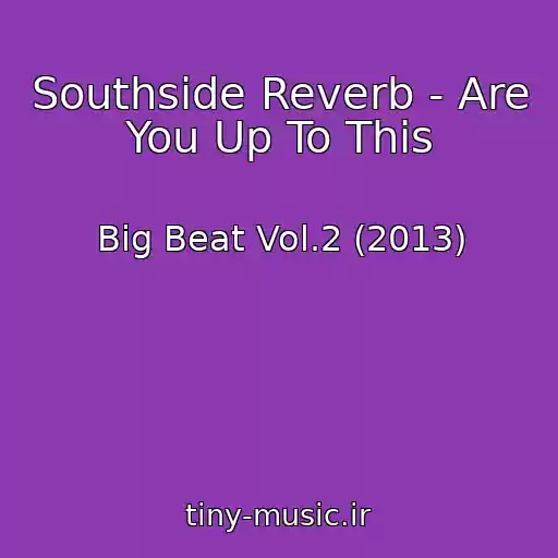 کاور آهنگ Southside Reverb - Are You Up To This از Big Beat Vol.2 (2013)