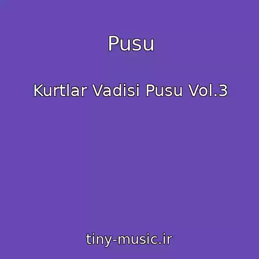 کاور آهنگ Pusu از Kurtlar Vadisi Pusu Vol.3
