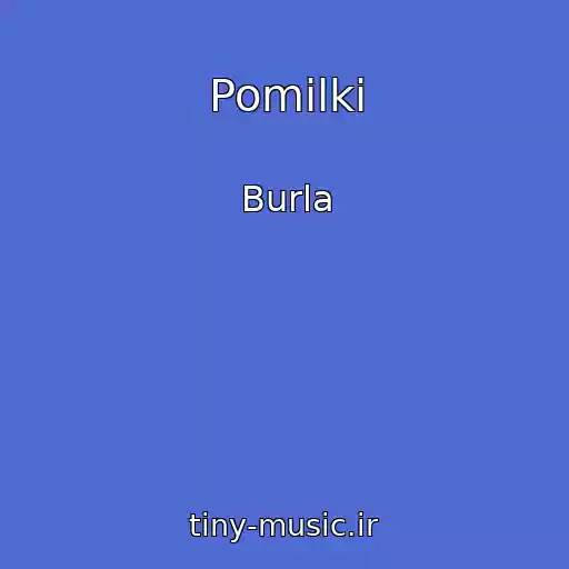کاور آهنگ Pomilki از Burla