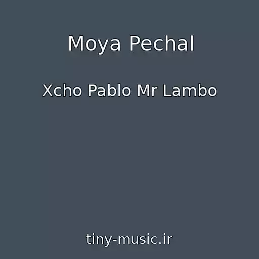کاور آهنگ Moya Pechal از Xcho Pablo Mr Lambo
