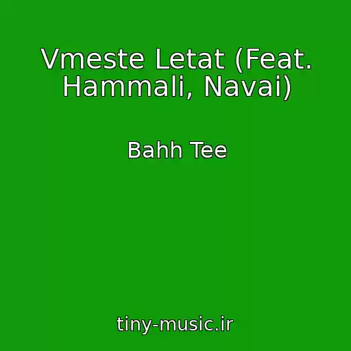 کاور آهنگ Vmeste Letat (Feat. Hammali, Navai) از Bahh Tee