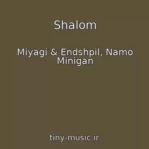 کاور آهنگ Shalom از Miyagi & Endshpil, Namo Minigan