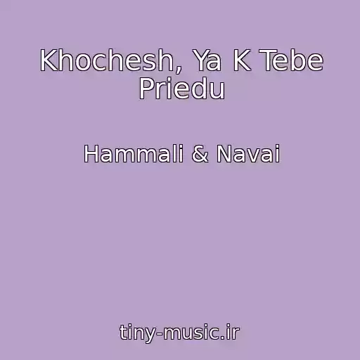 کاور آهنگ Khochesh, Ya K Tebe Priedu از Hammali & Navai