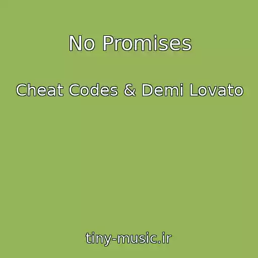 کاور آهنگ No Promises از Cheat Codes & Demi Lovato