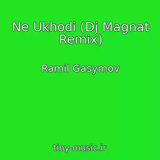 کاور آهنگ Ne Ukhodi (Dj Magnat Remix) از Ramil Gasymov