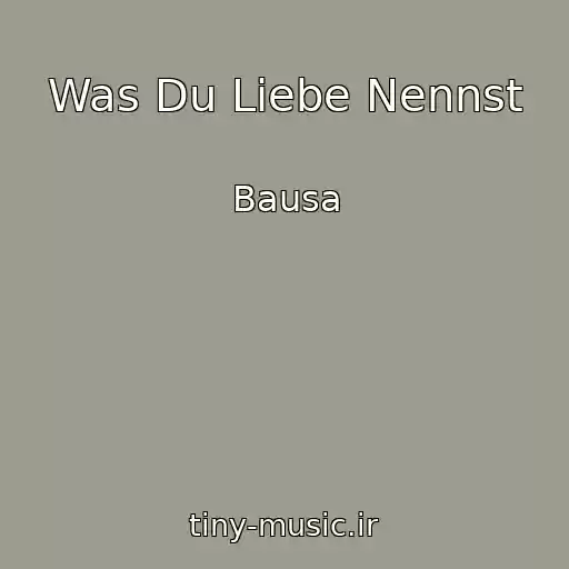 کاور آهنگ Was Du Liebe Nennst از Bausa