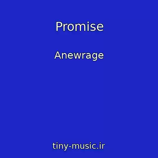 کاور آهنگ Promise از Anewrage