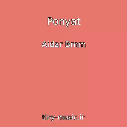 کاور آهنگ Ponyat از Aidar Bmm