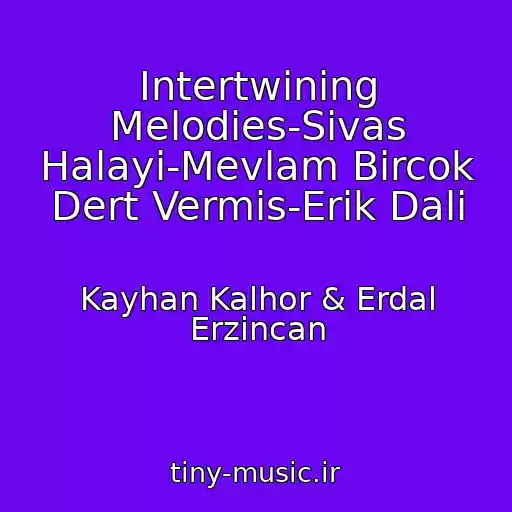 کاور آهنگ Intertwining Melodies-Sivas Halayi-Mevlam Bircok Dert Vermis-Erik Dali از Kayhan Kalhor & Erdal Erzincan