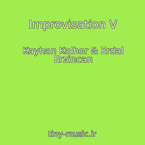 کاور آهنگ Improvisation V از Kayhan Kalhor & Erdal Erzincan