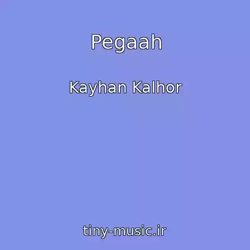 کاور آهنگ Pegaah از Kayhan Kalhor