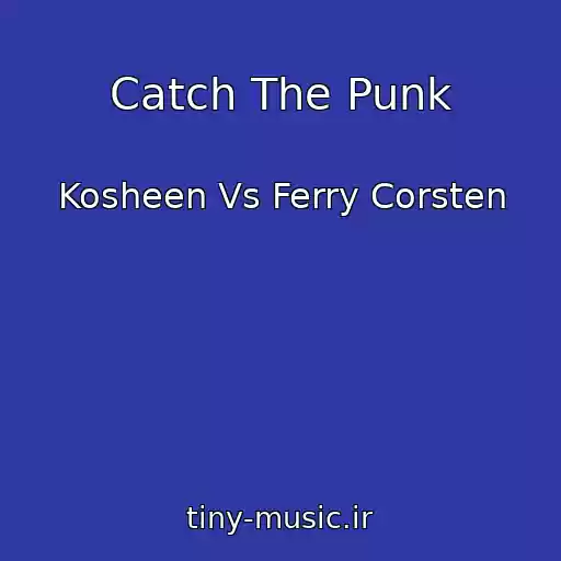 کاور آهنگ Catch The Punk از Kosheen Vs Ferry Corsten