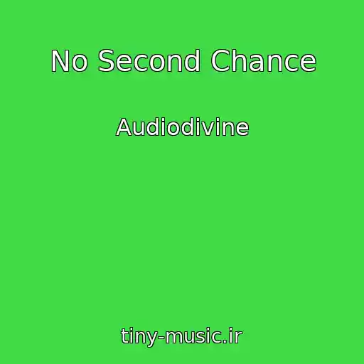 کاور آهنگ No Second Chance از Audiodivine