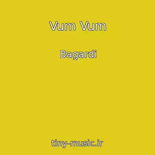 کاور آهنگ Vum Vum از Bagardi