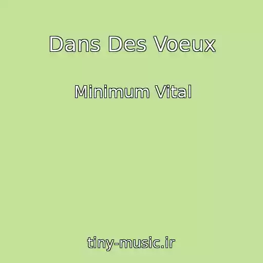 کاور آهنگ Dans Des Voeux از Minimum Vital