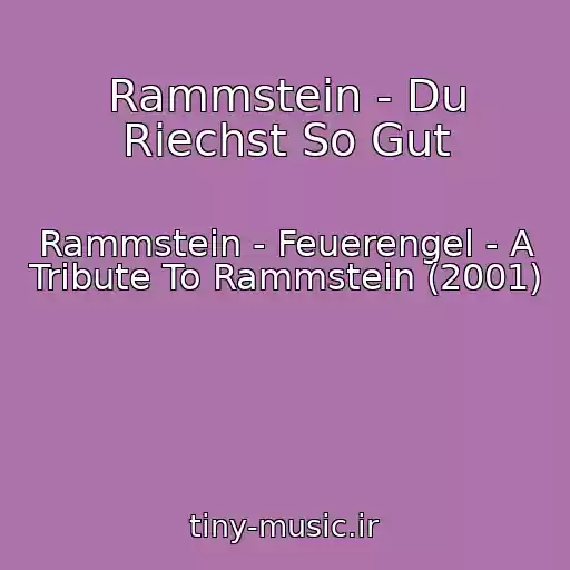 کاور آهنگ Rammstein - Du Riechst So Gut از Rammstein - Feuerengel - A Tribute To Rammstein (2001)