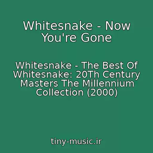 کاور آهنگ Whitesnake - Now You're Gone از Whitesnake - The Best Of Whitesnake: 20Th Century Masters The Millennium Collection (2000)