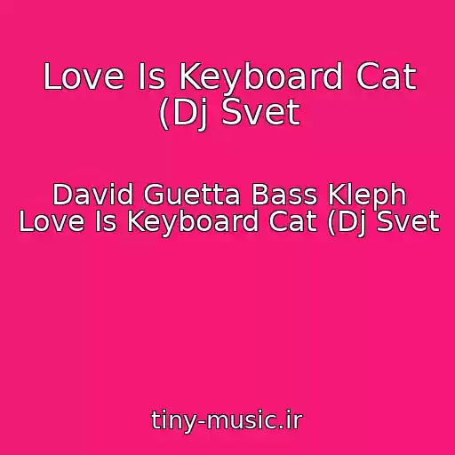 کاور آهنگ Love Is Keyboard Cat (Dj Svet از David Guetta Bass Kleph Love Is Keyboard Cat (Dj Svet