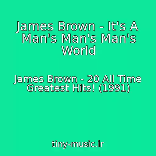 کاور آهنگ James Brown - It's A Man's Man's Man's World از James Brown - 20 All Time Greatest Hits! (1991)